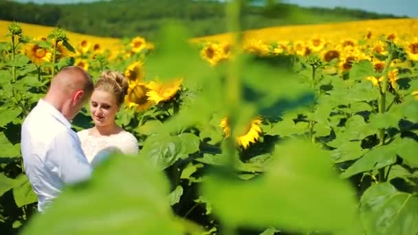 Happy couple running on sunflower field, taking hands and smiling. — Stock Video