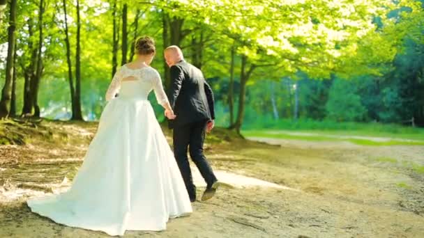 Bruid en bruidegom. Paar wandelen in het woud. — Stockvideo