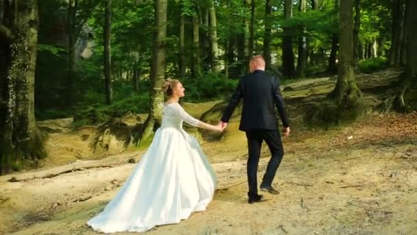 Bride and groom. Couple walking in the forest. — Stock Video