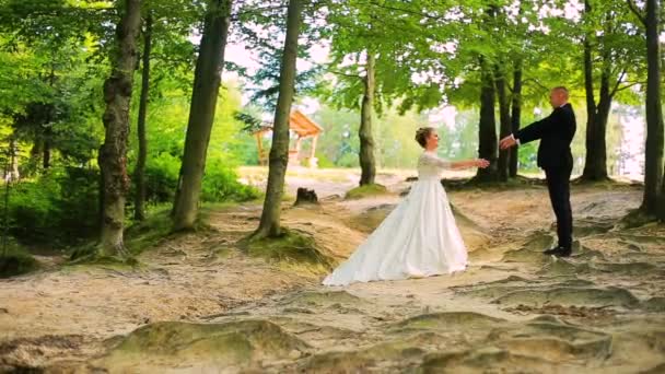 Bride and groom. Couple walking in the forest. — Stock Video