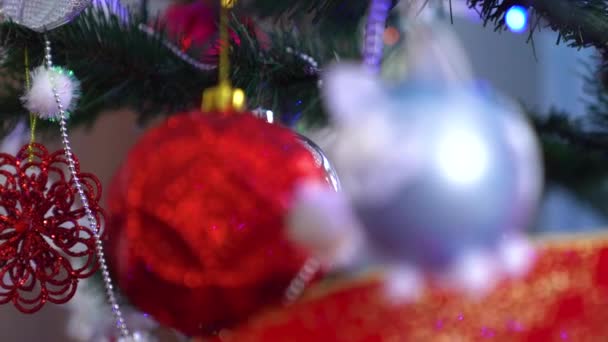 Decoración navideña en árbol con luces navideñas. Pelota de cerdo 2019 — Vídeo de stock