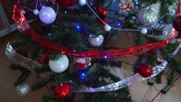 Decoración navideña en árbol con luces navideñas. Pelota de cerdo 2019 — Vídeos de Stock