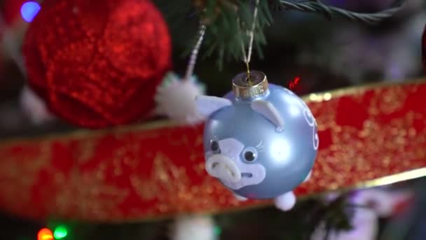 Decoración navideña en árbol con luces navideñas. Pelota de cerdo 2019 — Vídeos de Stock