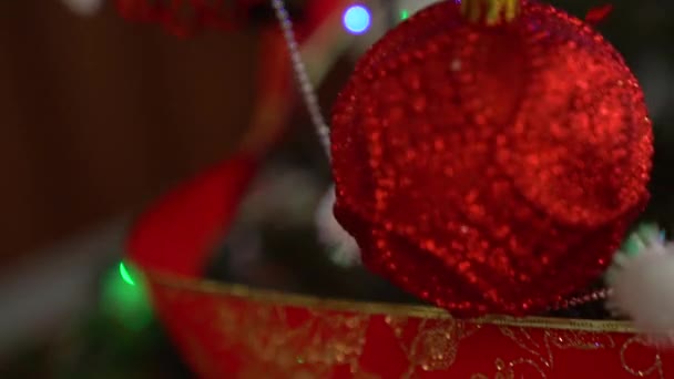 Рождественское украшение на елке с рождественскими огнями. Свиной мяч 2019 — стоковое видео