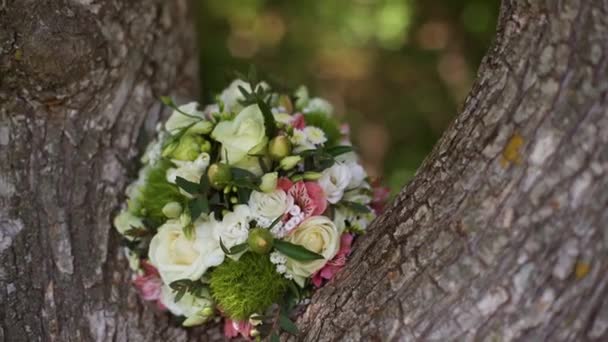 Ramo de rosas frescas. ramo de bodas en el parque cerca del árbol. Lento. — Vídeos de Stock