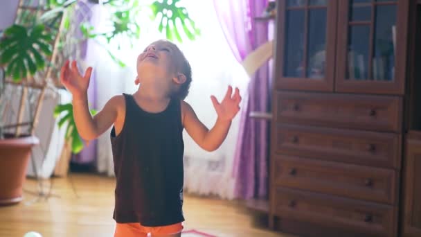 Niño jugando con un montón de globos multicolores, cámara lenta. De interior — Vídeos de Stock