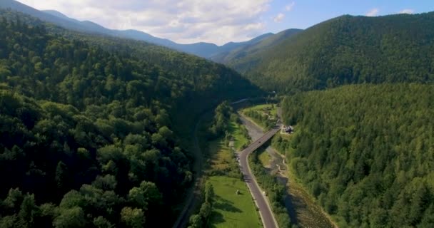 Naturaleza de larga distancia montaña verde árbol bosque paisaje, vista aérea. 4k — Vídeos de Stock