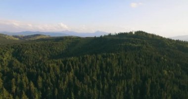 Uzun mesafe doğa dağ yeşil ağaç orman manzara, havadan görünümü. 4k