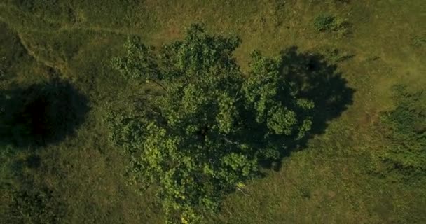 La coppia in piedi sulla pittoresca montagna al sorgere del sole bckg 4k aerea — Video Stock