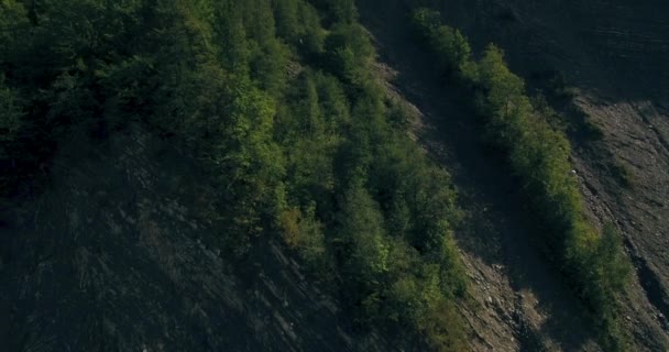 Lange afstand natuur berg groene boom bos landschap, luchtfoto. 4k — Stockvideo