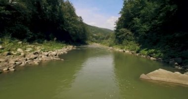 Nehrin üzerinde alçaktan uçan ve bahar vadisinden geçiyor. 4k