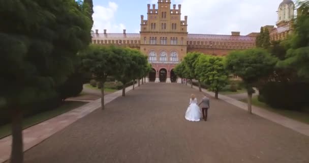 鸟瞰图： 美丽的夫妇走在古色古香的大城堡 4 k — 图库视频影像