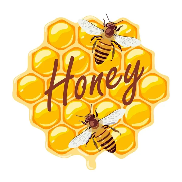 Arılar ve peteğin. Vektör çizim