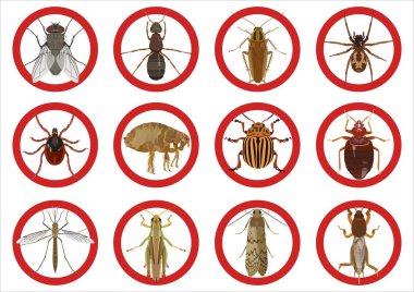 Collection of warning signs about harmful insects. Vector illustration clipart