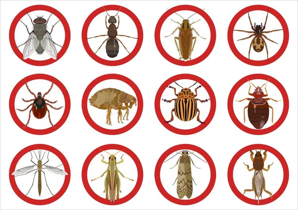 Recogida de señales de advertencia sobre insectos nocivos. Ilustración vectorial — Vector de stock