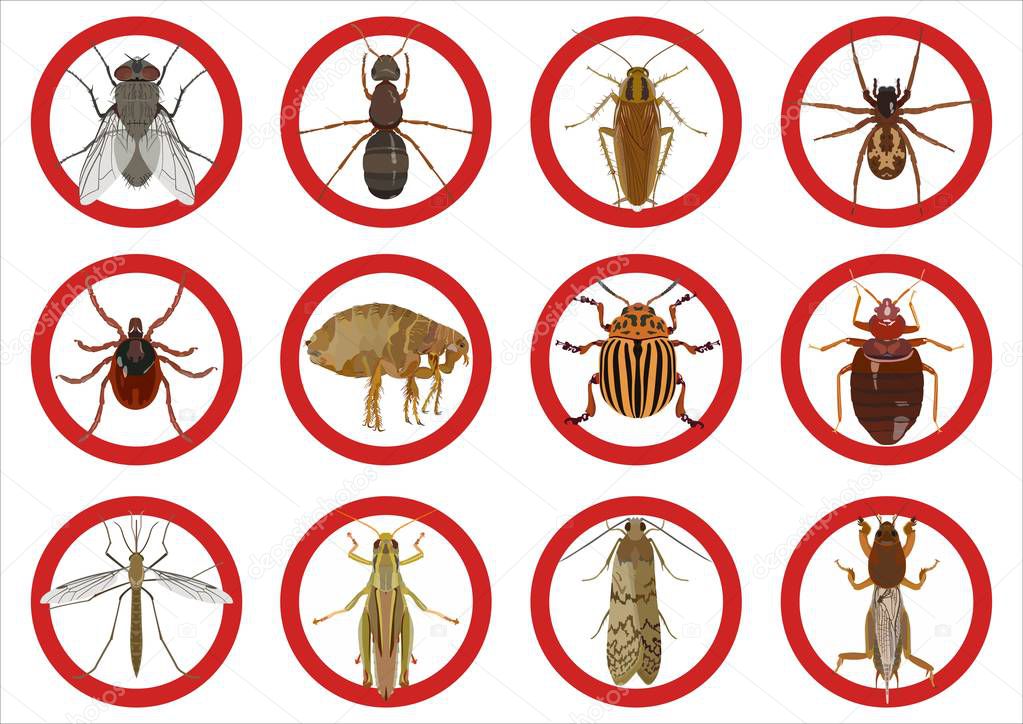 Collection of warning signs about harmful insects. Vector illustration