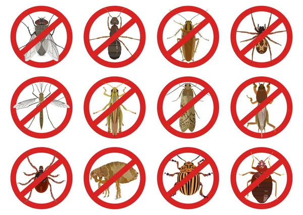 Συλλογή από κόκκινη προειδοποιητικά σήματα σχετικά με επιβλαβή έντομα. Εικονογράφηση διάνυσμα — Διανυσματικό Αρχείο