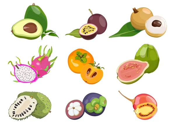 Set de colores, con jugosas frutas exóticas sobre fondo blanco. Ilustración vectorial — Vector de stock