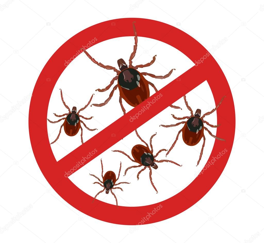 Stop red sign Carefully ticks. Insect parasites. Vector illustration.