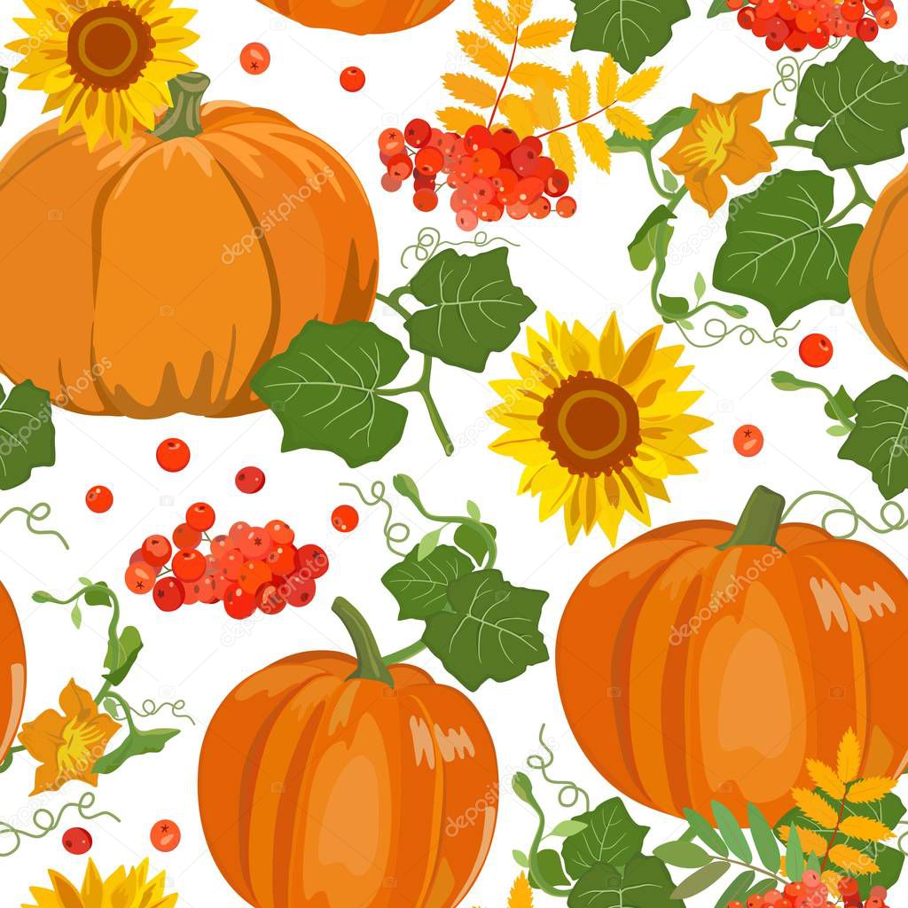 Seamless pattern with pumpkins, rowan and sunflowers. Autumn. Vector illustration