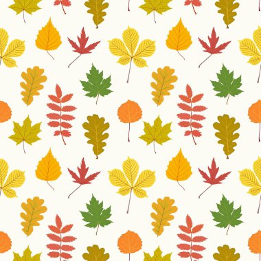 Beyaz bir arka plan üzerinde sonbahar yaprakları ile dikişsiz desen. Vektör çizimi