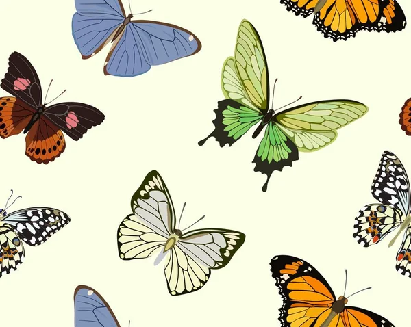 Бесшовный рисунок с разноцветными бабочками разных пород. Векторная иллюстрация — стоковый вектор