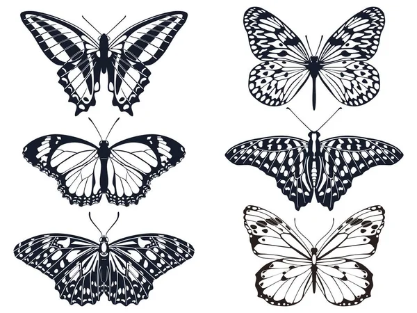 Collection of black butterfly icons with patterns. Vector illustration — Stock Vector