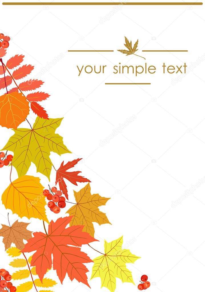 Vertical vector banner with maple, poplar, rowan leaves on white background with place for text. Red, yellow, green autumn leaves. Illustrations are suitable for menu design, packages, covers, greeting cards, invitations.