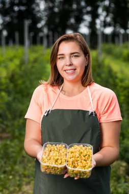 Hasat ile bahçede çilek kutusu kadınla çalışan sarı frenk üzümü yetiştiricileri mühendisi