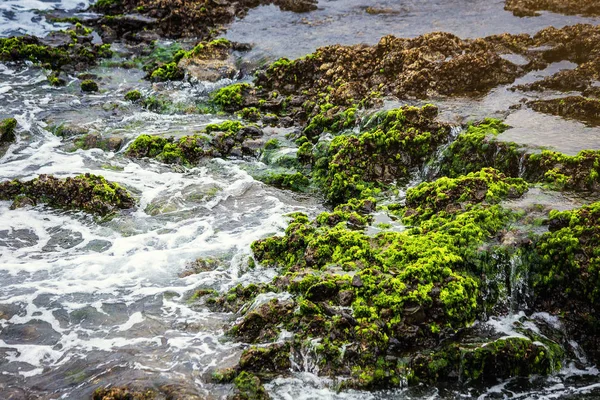 Teneriffa Kanarieöarna Spanien Utsikt Över Den Vackra Atlanten Kusten Med — Stockfoto