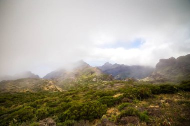 Dağ yılan gibi. Masca Gorge manzara. Deniz kenarı ile küçük köylerde, Tenerife, Kanarya Adaları'nın güzel manzaralarını