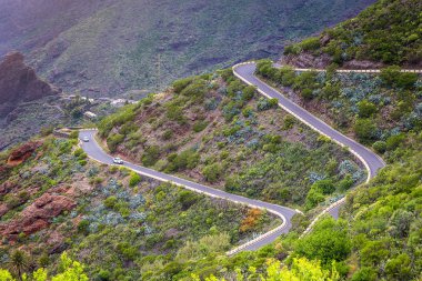 Dağ yılan gibi. Masca Gorge manzara. Deniz kenarı ile küçük köylerde, Tenerife, Kanarya Adaları'nın güzel manzaralarını