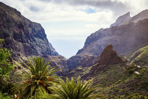 Masca Gorge dağ manzarası. Deniz kenarı ile küçük köylerde, Tenerife, Kanarya Adaları'nın güzel manzaralarını