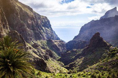 Masca Gorge dağ manzarası. Deniz kenarı ile küçük köylerde, Tenerife, Kanarya Adaları'nın güzel manzaralarını