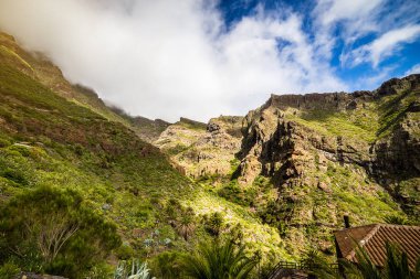 Masca Gorge dağ manzarası. Deniz kenarı ile küçük köylerde, Tenerife, Kanarya Adaları'nın güzel manzaralarını