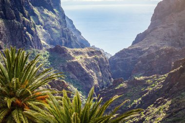Masca Gorge dağ manzarası. Deniz kenarı ile küçük köylerde, Tenerife, Kanarya Adaları'nın güzel manzaralarını