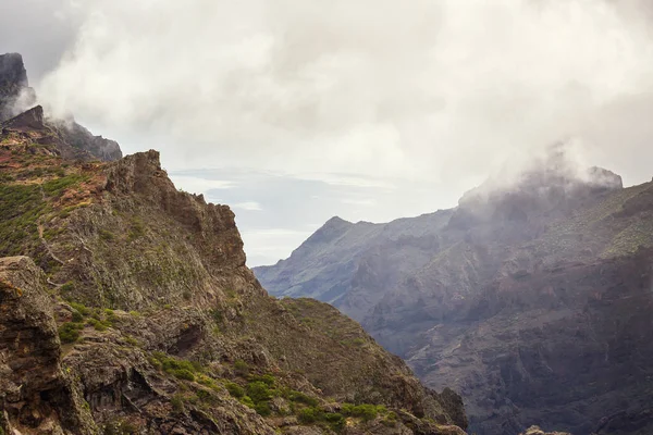 Masca Gorge dağ manzarası. Deniz kenarı ile küçük köylerde, Tenerife, Kanarya Adaları'nın güzel manzaralarını