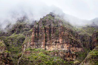 Masca Gorge dağ manzarası. Deniz kenarı ile küçük köylerde, Tenerife, Kanarya Adaları'nın güzel manzaralarını