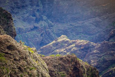 Masca Gorge dağ manzarası. Deniz kenarı ile küçük köylerde, Tenerife, Kanarya Adaları'nın güzel manzaralarını