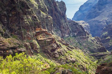 Masca Gorge dağ manzarası. Deniz kenarı ile küçük köylerde, Tenerife, Kanarya Adaları'nın güzel manzaralarını