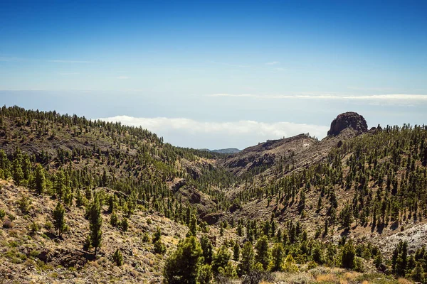 Beautiful Landscape Teide National Park Tenerife Canary Island Spain — Stock Photo, Image