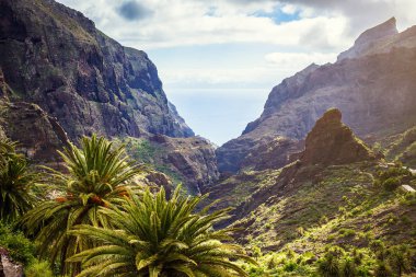 Dağ yılan gibi. Masca Gorge manzara. Deniz kenarı ile küçük köylerde, Tenerife, Kanarya Adaları'nın güzel manzaralarını