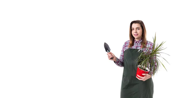 Vrouw Professionele Tuinman Bloemist Schort Bloemen Houden Een Pot Tuinieren — Stockfoto