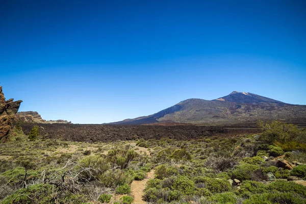 Bellissimo Paesaggio Del Parco Nazionale Del Teide Tenerife Isola Delle — Foto Stock