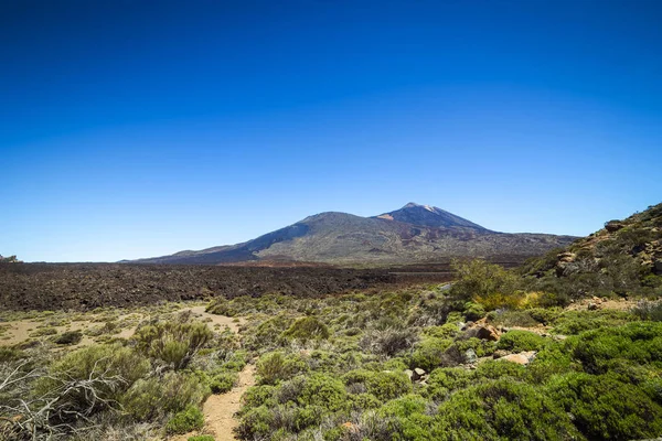 Beautiful Landscape Teide National Park Tenerife Canary Island Spain — Stock Photo, Image