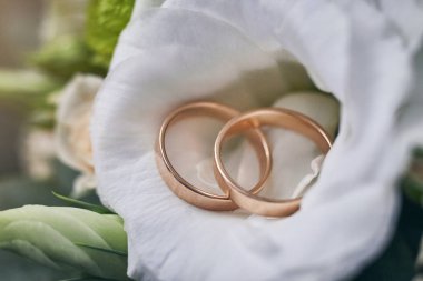 Alyanslar düğün aksesuarları gibi güzel bir buketin üzerinde yatıyor.