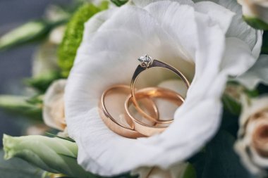 Alyanslar düğün aksesuarları gibi güzel bir buketin üzerinde yatıyor.