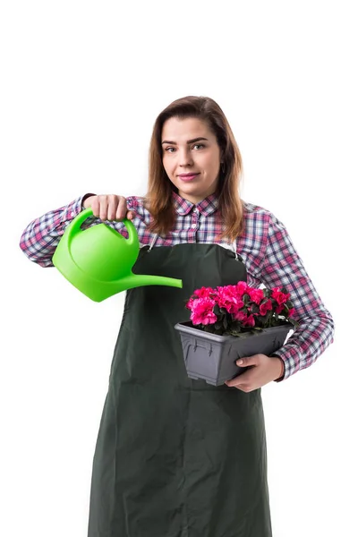 Kobieta Profesjonalny Ogrodnik Lub Kwiaciarnia Fartuch Gospodarstwa Kwiaty Doniczce Białym — Zdjęcie stockowe