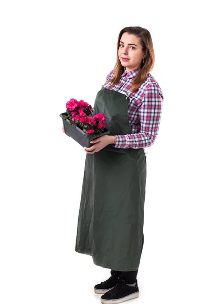 Mulher Jardineiro Profissional Florista Avental Segurando Flores Pote Isolado Fundo — Fotografia de Stock