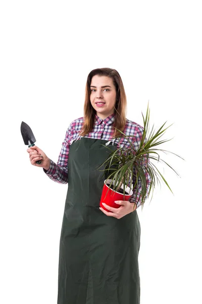 Femme Jardinier Professionnel Fleuriste Dans Tablier Tenant Des Fleurs Dans — Photo